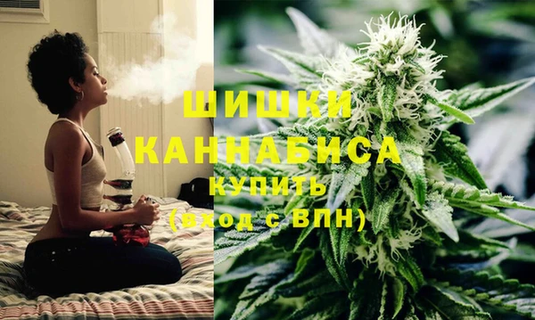 гидра Надым