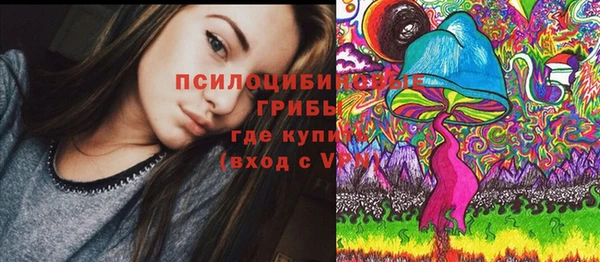 гидра Надым