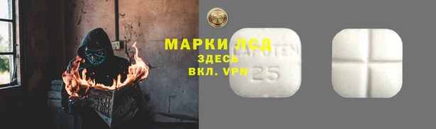 ПСИЛОЦИБИНОВЫЕ ГРИБЫ Навашино