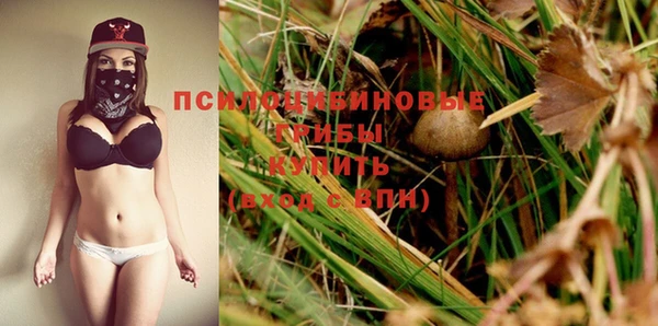 ПСИЛОЦИБИНОВЫЕ ГРИБЫ Навашино